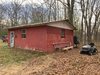 8869 17th Ave, Bitely, MI 49309 - photo 4