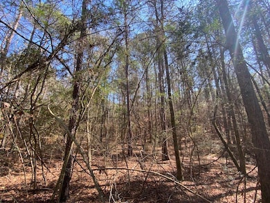 1064 Taylor Rd, Osyka, MS 39657 - photo 7