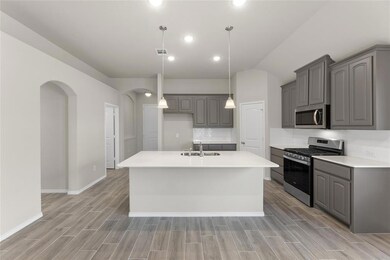 1804 Agarito Dr, Weatherford, TX 76086 - photo 5