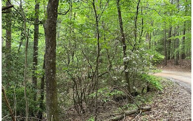 Additional View