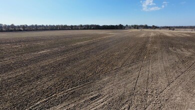 1940 Arkansas 90, Knobel, AR 73435 - photo 2