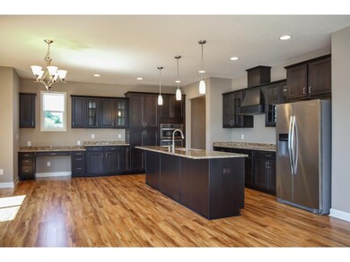 Gourmet-style kitchen with double wall ovens, gas 