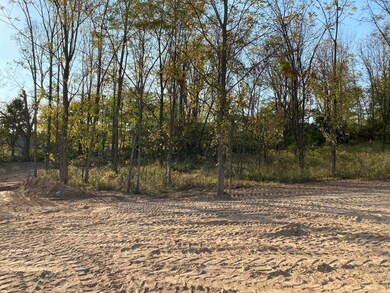 L66 Ph2 Irish Hills Estates, Nixa, MO 65714 - photo 3