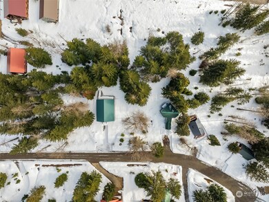 22 Chamonix Place, Snoqualmie Pass, WA 98068 - photo 4