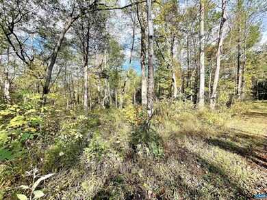 0 Riverdale Rd, Stanardsville, VA 22973 - photo 4