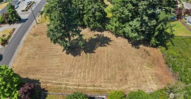 4921 161st St E, Frederickson, WA 98466 - photo 4