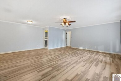 319 Crystal Lake Rd, Wickliffe, KY 42087 - photo 6