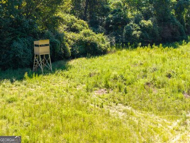 0 Americus Hwy unit 10490217, Rupert, GA 31081 - photo 5