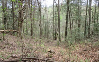 0 Ladybug Ln unit 284022, Blue Ridge, GA 30513 - photo 2