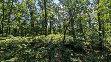 V/L E Stark Rd, Free Soil, MI 49411 - photo 7