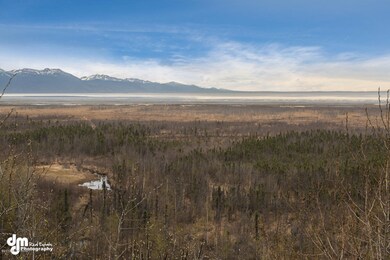 1020 Coral Lane Anchorage AK-large-036-3