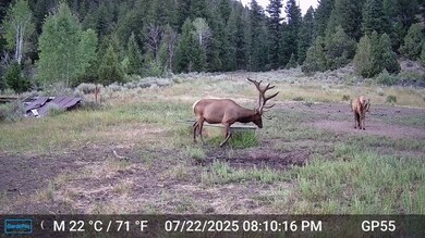 0 Tbd Atchee Ridge Rd, Rangely, CO 81648 - photo 4