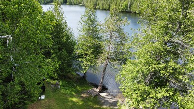 dji_fly_20240701_140906_312_171985768161