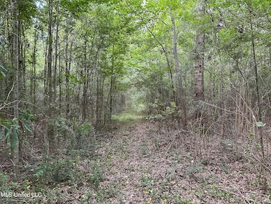 0 Stovall Ln, Summit, MS 39666 - photo 5