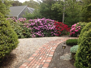 Front Walk in Spring