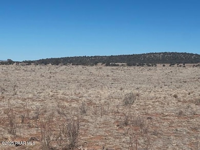 00 SW Double Back Dr, Seligman, AZ 86337 - photo 5