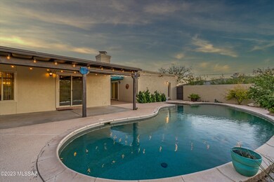 Back Patio & Yard