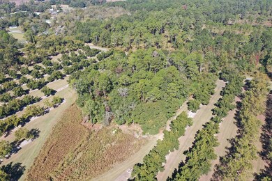 Wooded Area and Plantable feed patch area