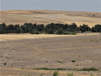 Cayuse Rd, Pendleton, OR 97801 - photo 3