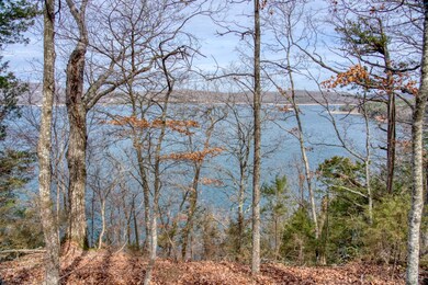 0 The Pointe Dr unit 1267957, Eureka Springs, AR 72631 - photo 7