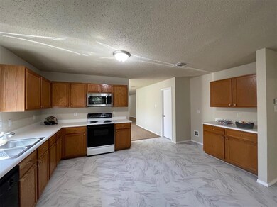 8305 Swan Park Dr, Denton, TX 76210 - photo 6