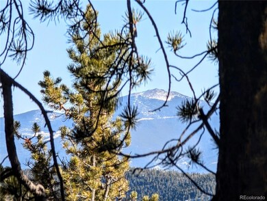 Lot 677 Alice Rd, Idaho Springs, CO 80453 - photo 5