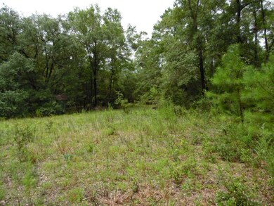 0 Hoot Owl Hollow unit 309105, Crawfordville, FL 32327 - photo 6