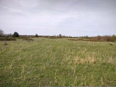 000 State Highway B, Rogersville, MO 65742 - photo 5