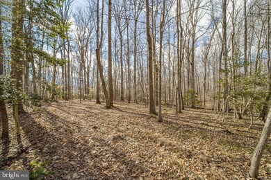 0 Dreamland Rd unit A VACU2002358, Jeffersonton, VA 22724 - photo 7