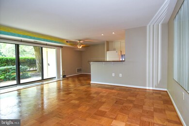 6139 Leesburg Pike unit 206, Baileys Crossroads, VA 22041 - photo 3