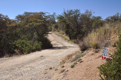 Winding Driveway