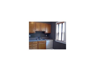 Maple cabinets. All appliances stay.