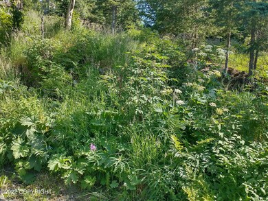IMG_20220705_165438443_HDR