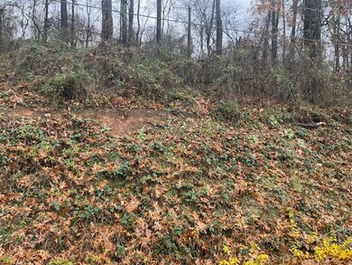 0 Dempsey Ln unit 1504691, Rossville, GA 30741 - photo 2