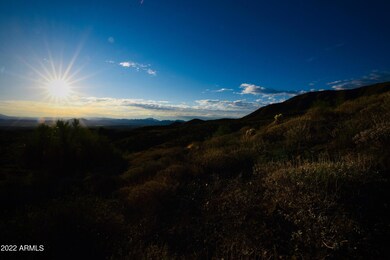 EN Lot 137 Photo 5