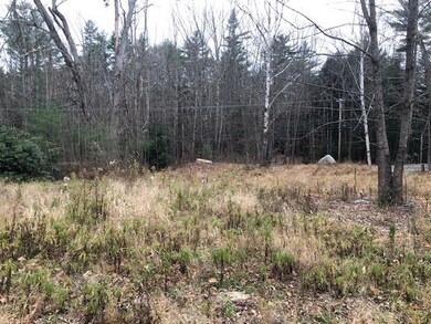 242 Daniel Webster Hwy, Center Harbor, NH 03226 - photo 7