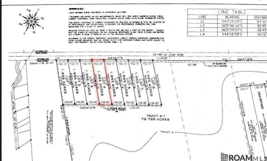 Lot #4 Louisiana 22, Darrow, LA 70725 - photo 2