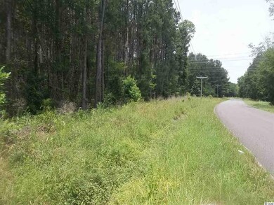 0 Cates Bay Rd unit 1912305, Conway, SC 29527 - photo 4