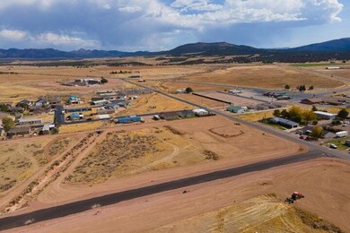 003. Lot #10 - SouthEast View - Aerial