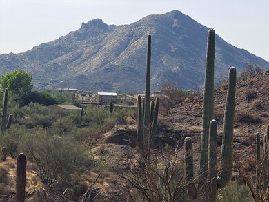 BLACK MOUNTAIN