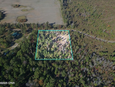 0 Parramore Rd, Sneads, FL 32460 - photo 3