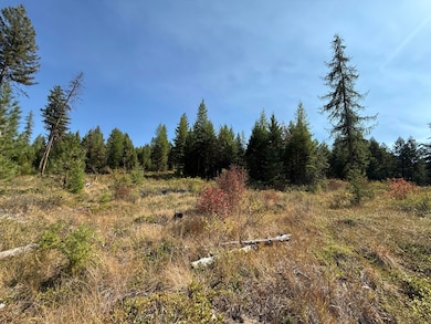 TBD Saint Peters Creek Rd, Malo, WA 99150 - photo 7