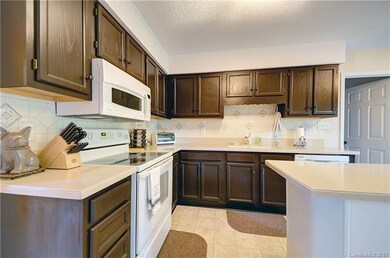 12404 Angel Oak Dr, Huntersville, NC 28078 - photo 6