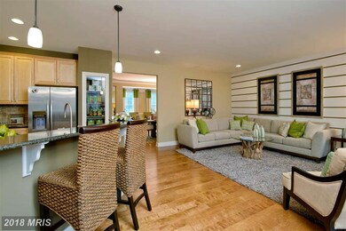 23212 Evergreen Ridge Dr, Ashburn, VA 20148 - photo 7