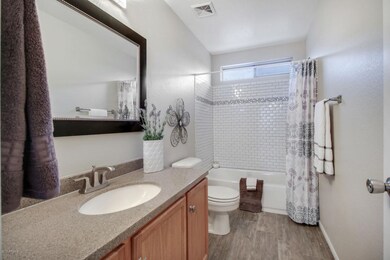 Master_Bathroom
