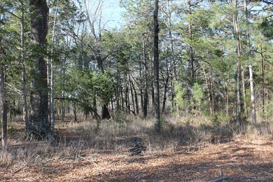 1055 Fleming Lake Ct, Lincolnton, GA 30817 - photo 3