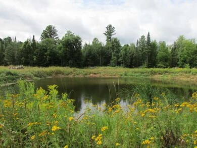 N5568 Rosedale Rd, Deerbrook, WI 54424 - photo 3