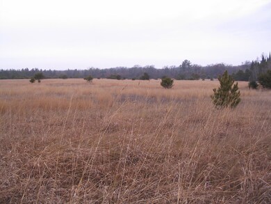 Parcel 13 N M-18, Roscommon, MI 48653 - photo 4