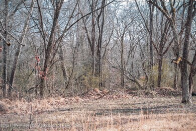 IMG-0025