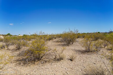 DSC03374-HDR